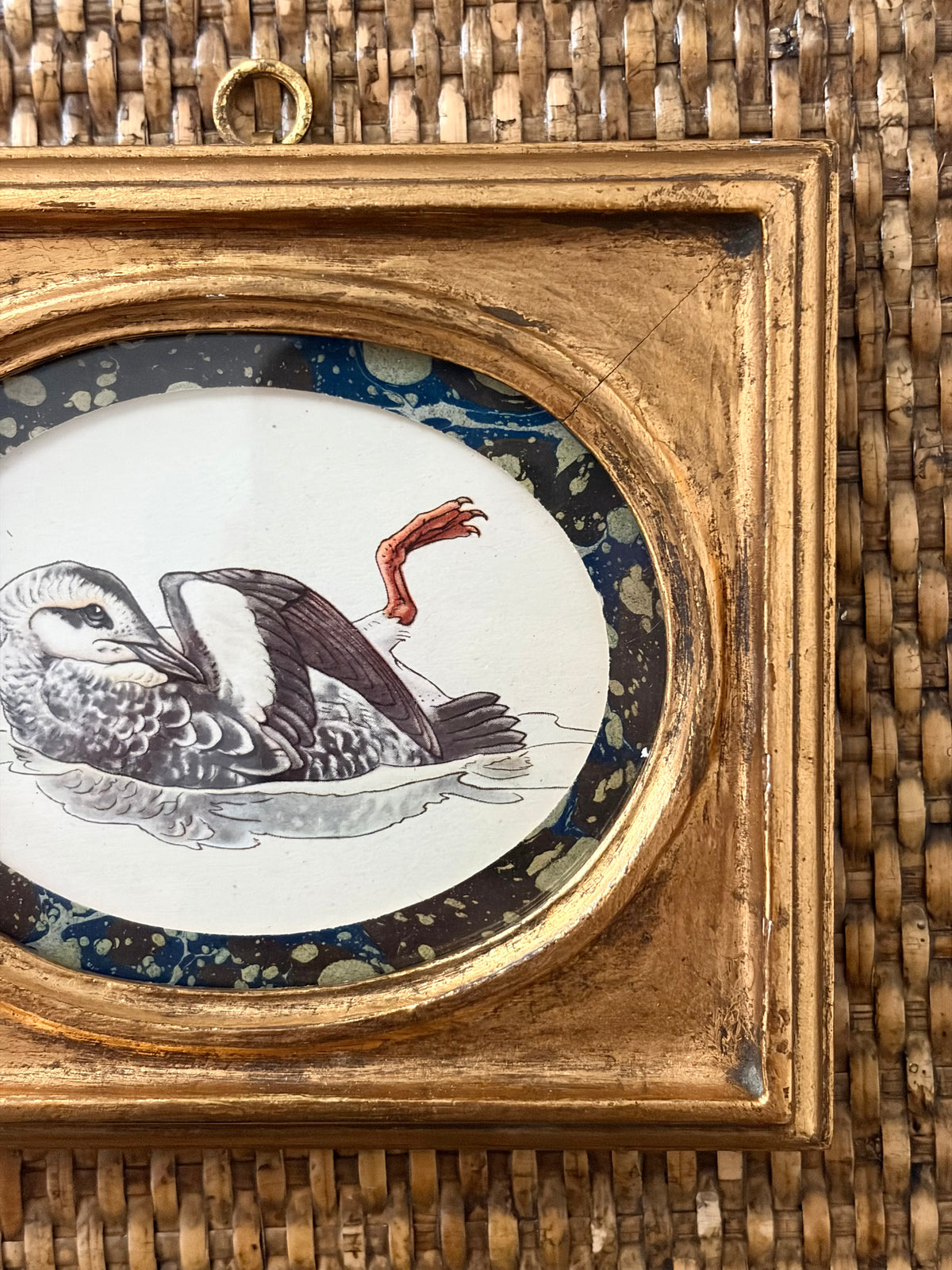 Vintage Bird Print