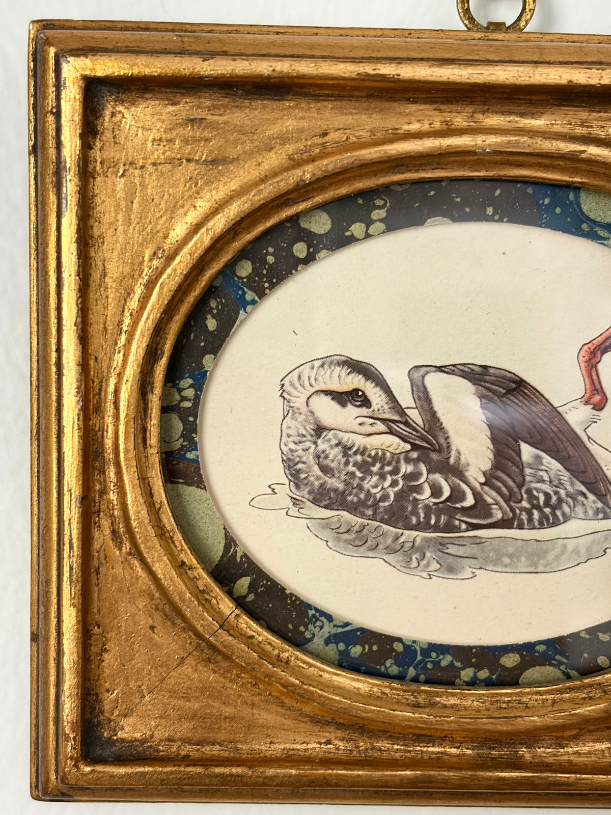 Vintage Bird Print