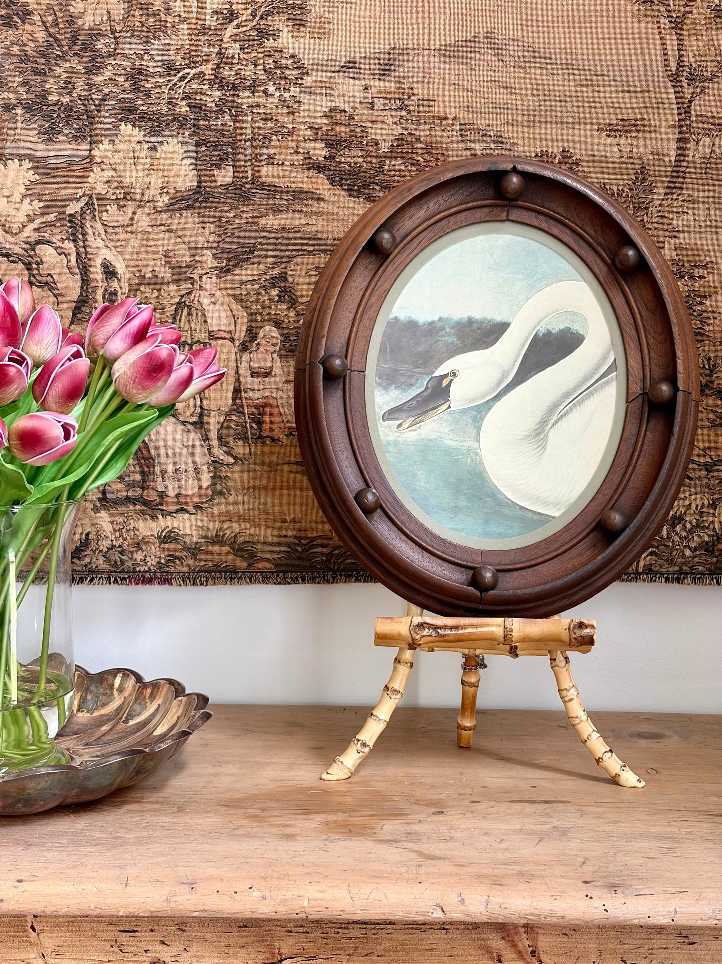 Trumpeter Swan Plate 7