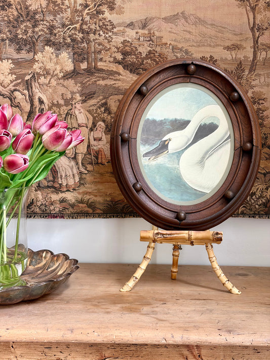 Trumpeter Swan Plate 7