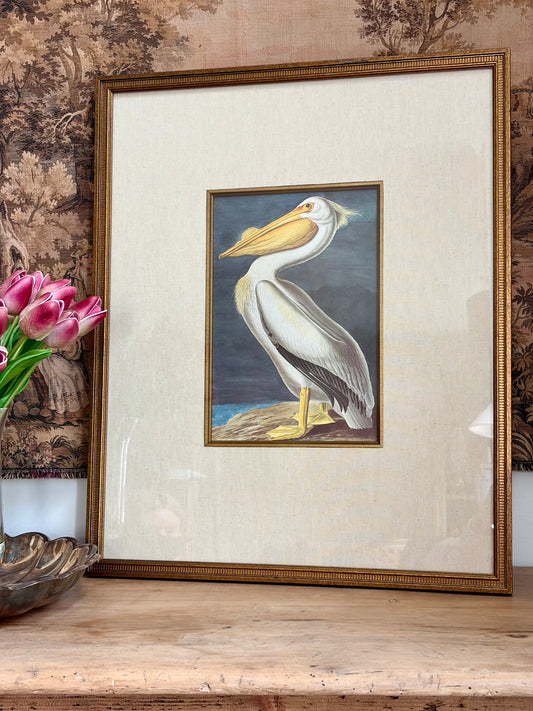 White Pelican Plate 410