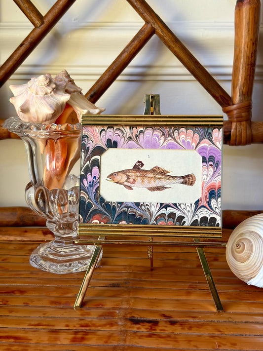 Framed Antique Fish Print