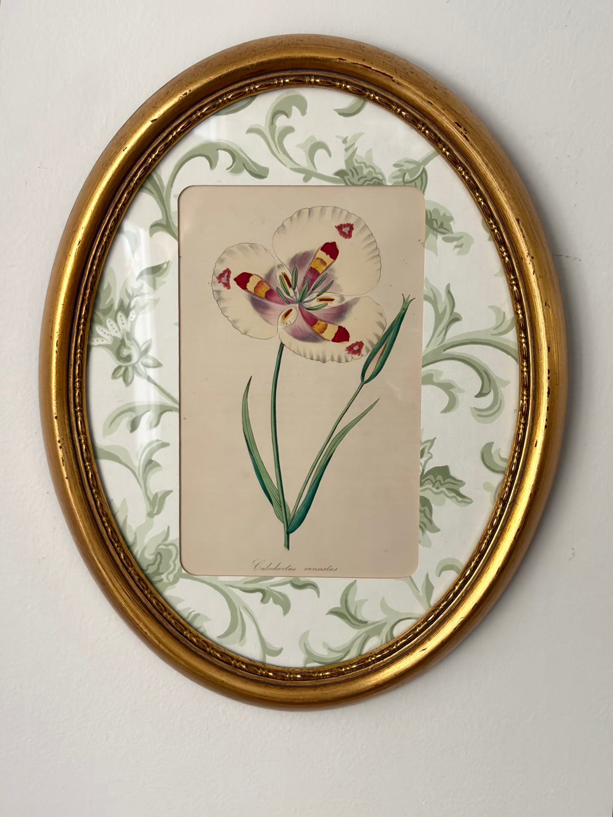 Antique Flower Print