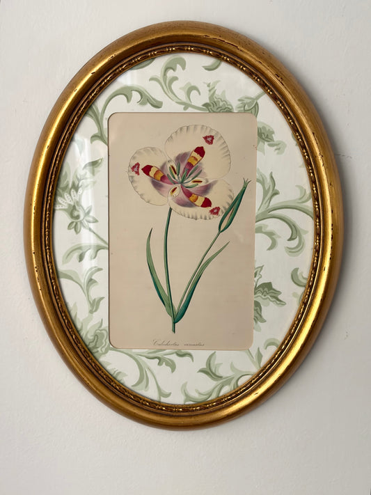 Antique Flower Print