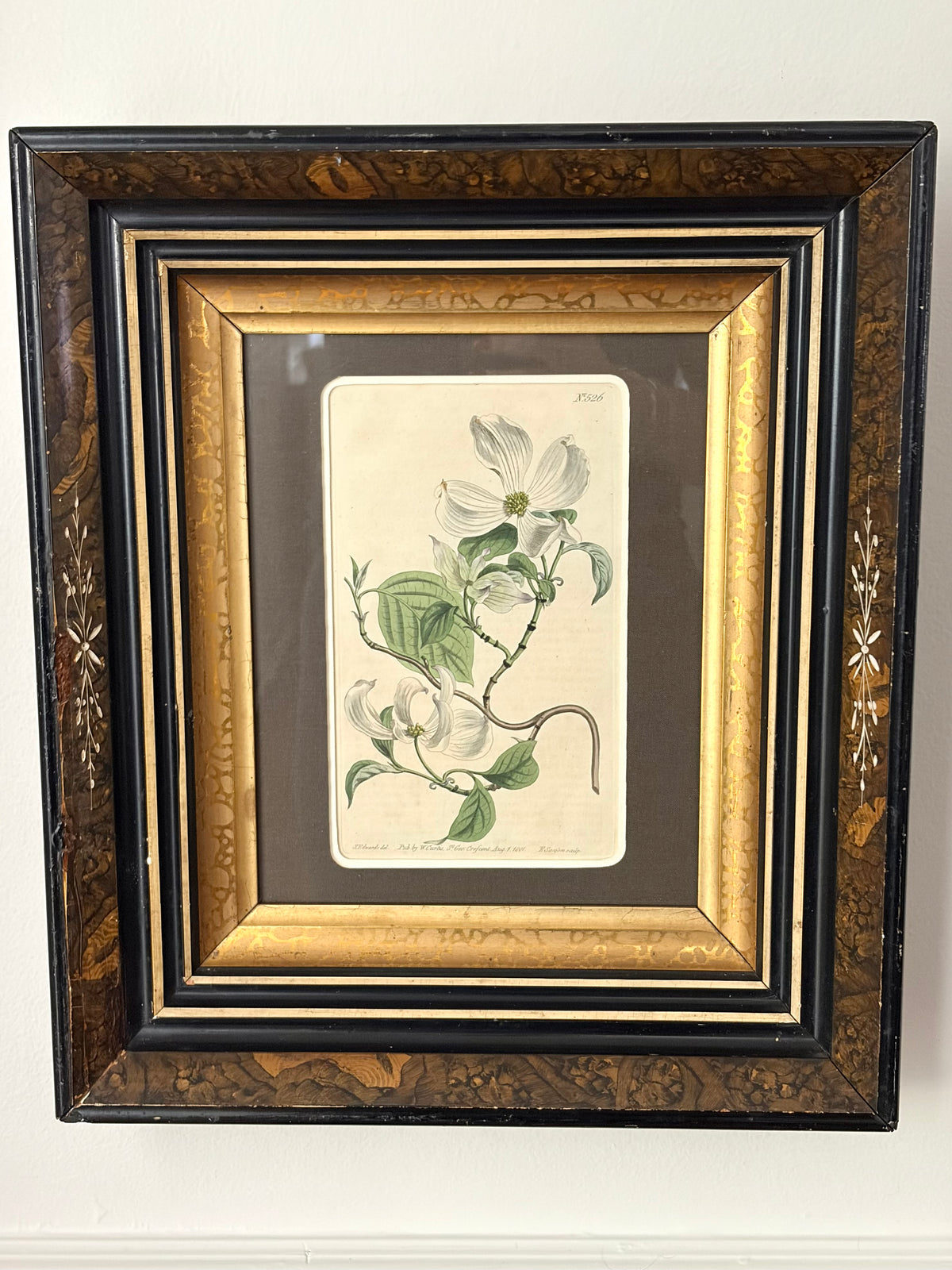 Antique Dogwood Engraving