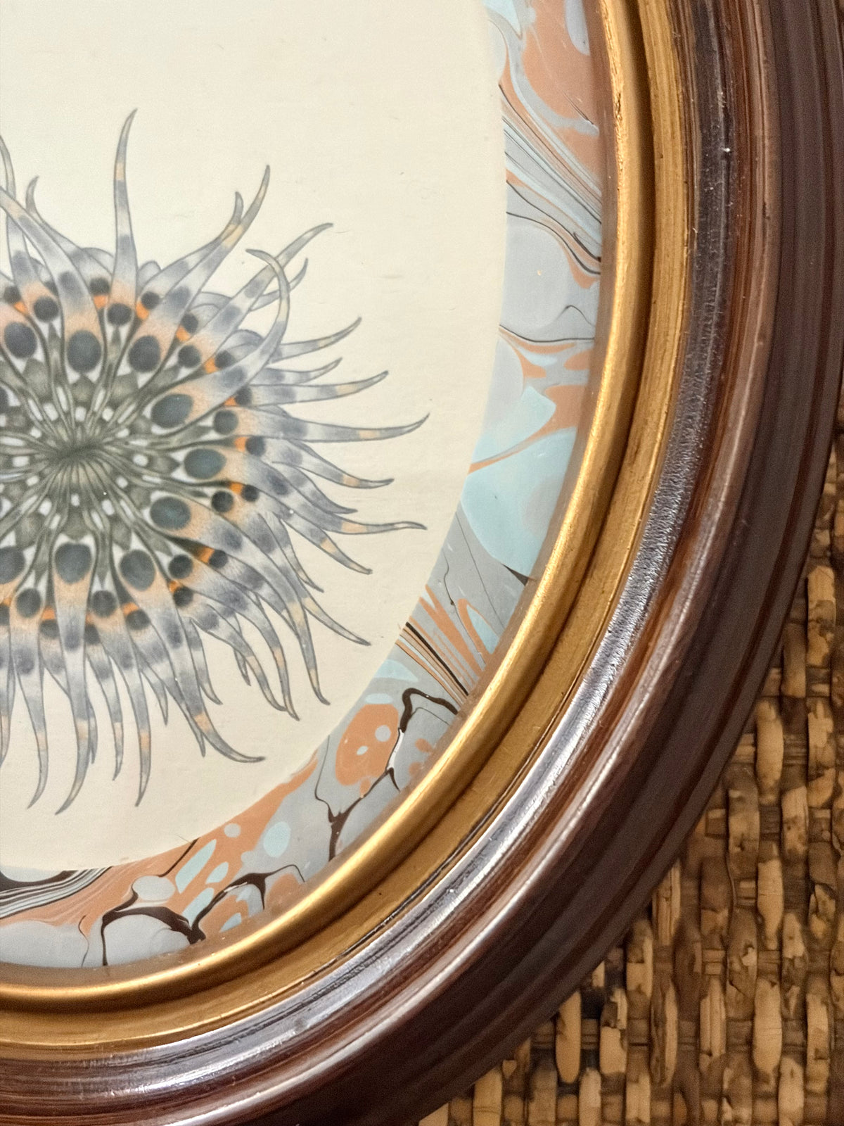 Pair of Vintage Anemone and Sea Urchin Prints