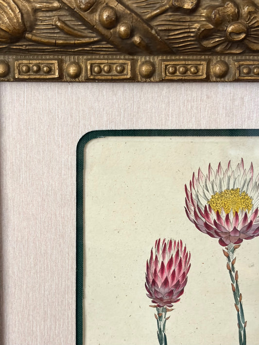 Antique Floral Engraving