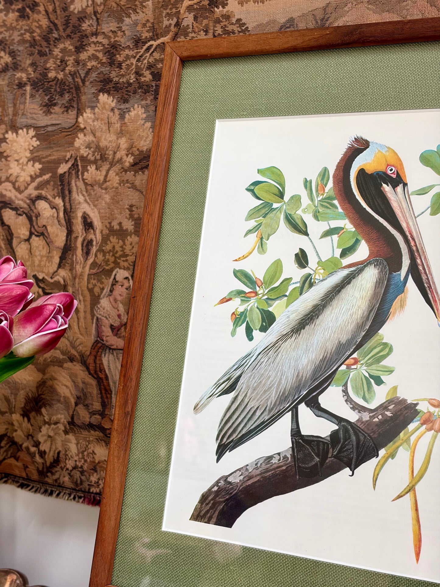 Brown Pelican Plate 17