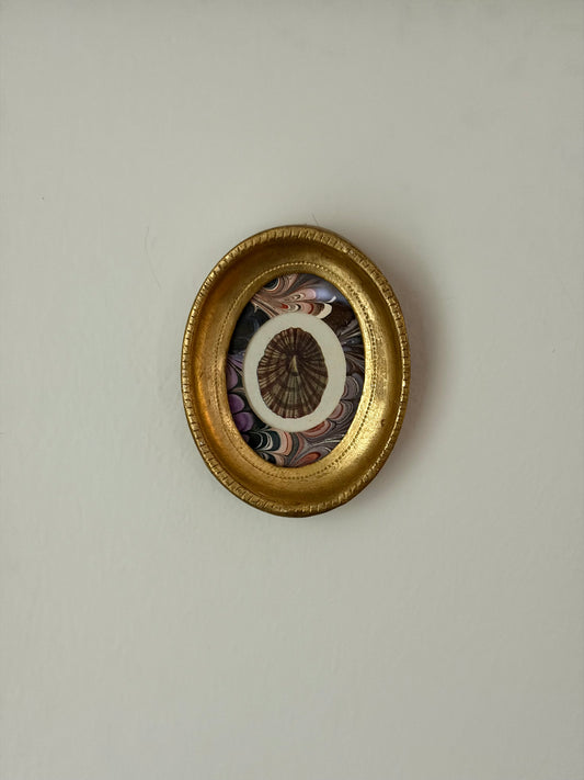 Mini Framed Antique Shell Print