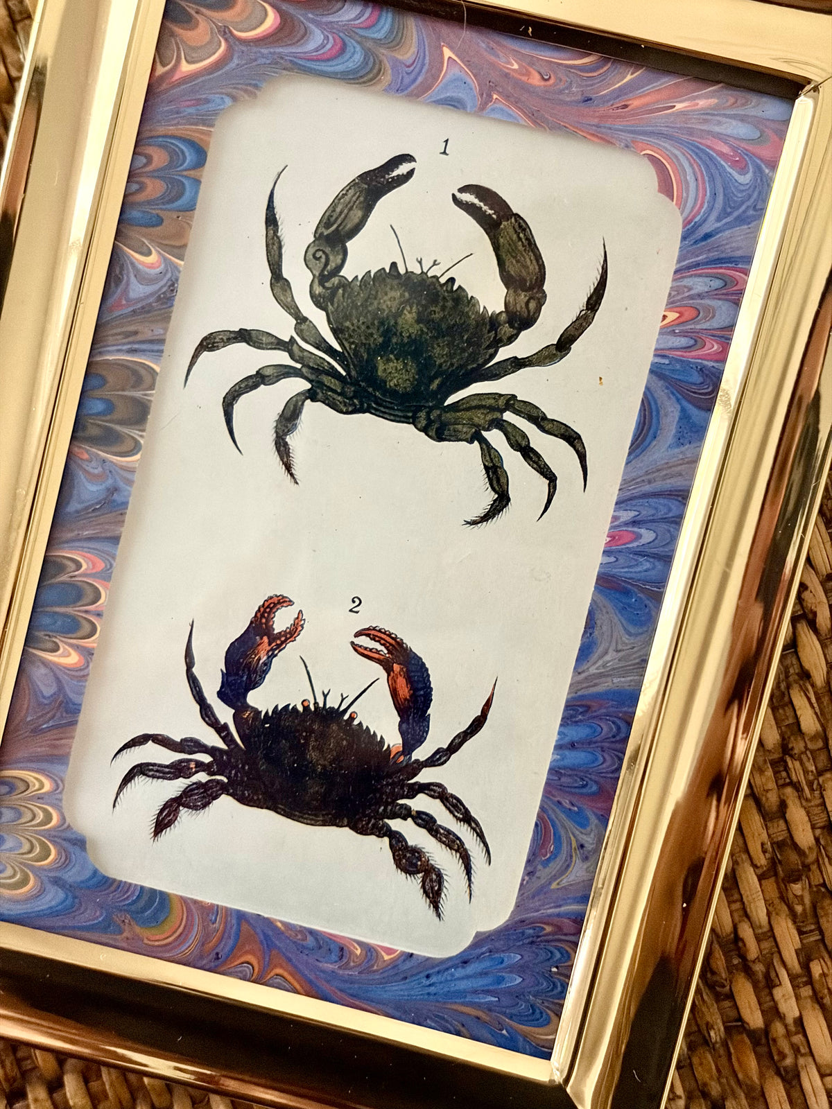 Antique Crab Print