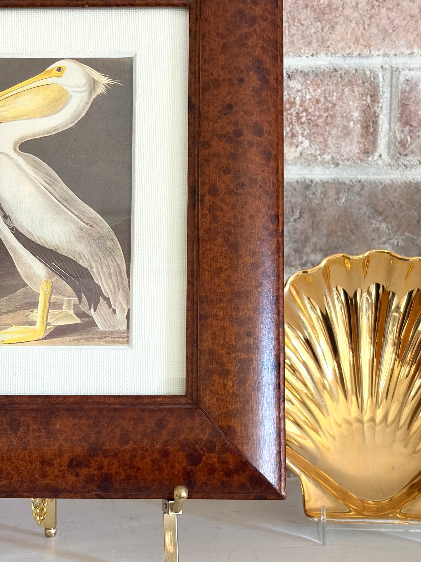 Vintage Framed White Pelican Audubon Bookplate