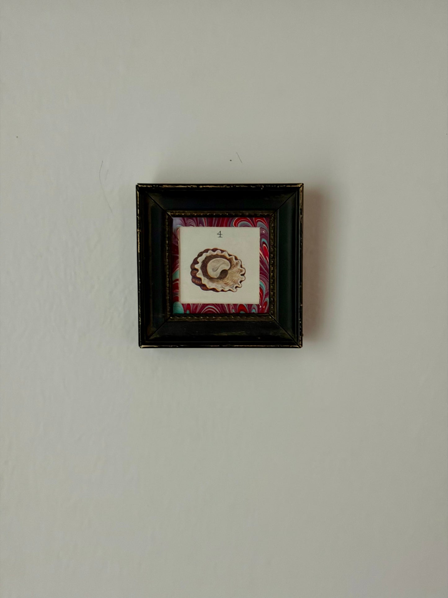 Mini Framed Antique Shell Print