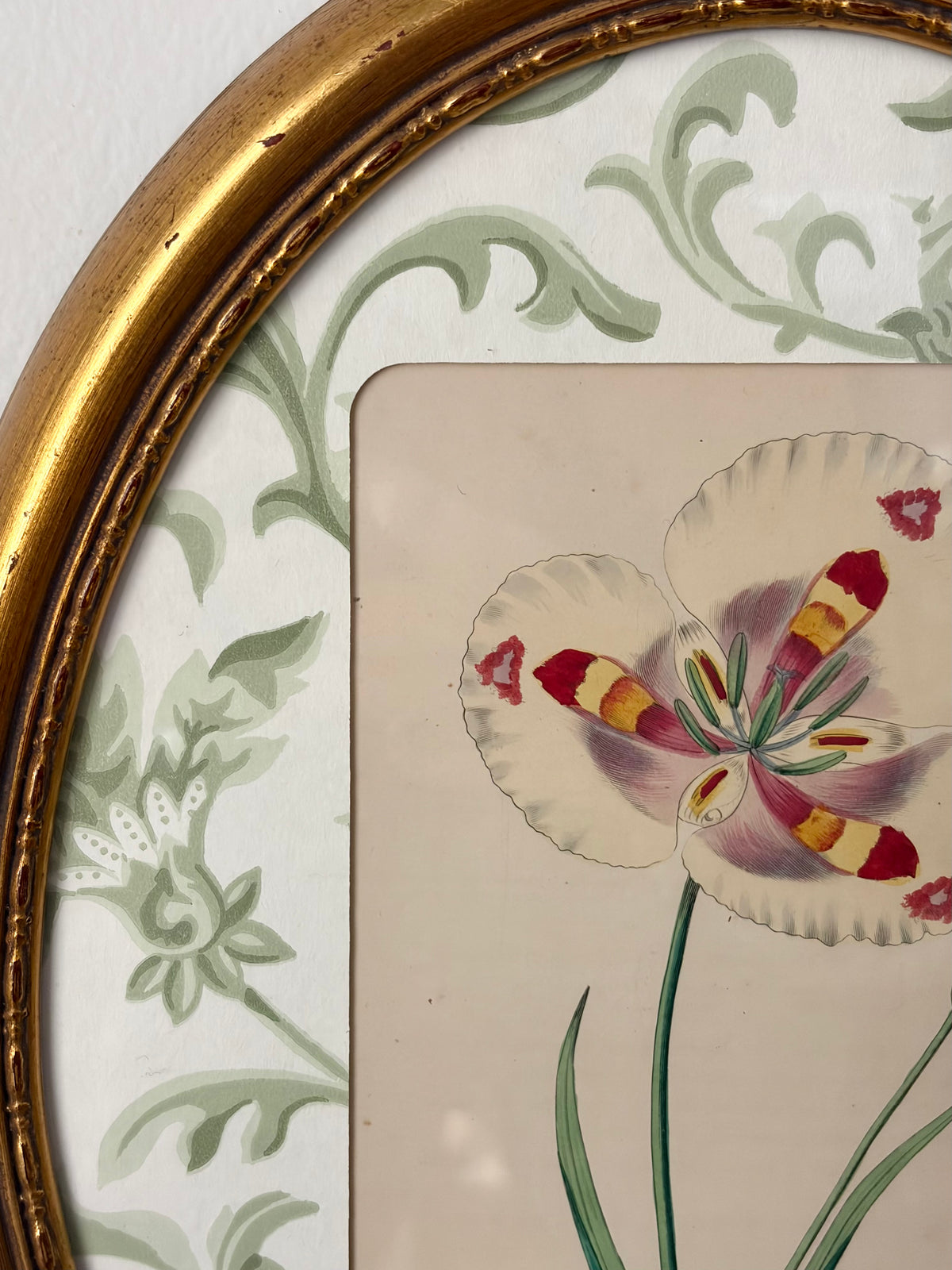 Antique Flower Print