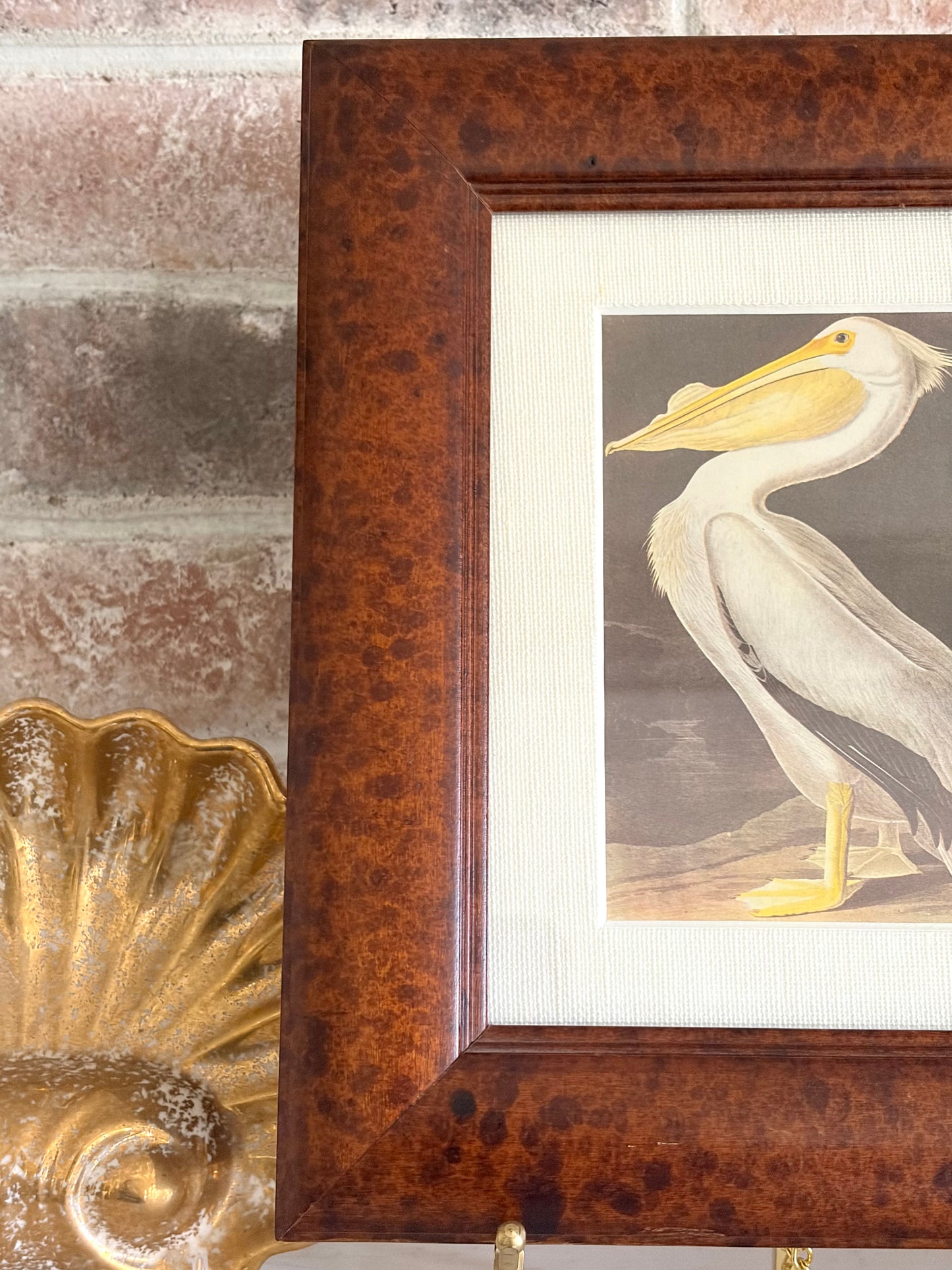 Vintage Framed White Pelican Audubon Bookplate