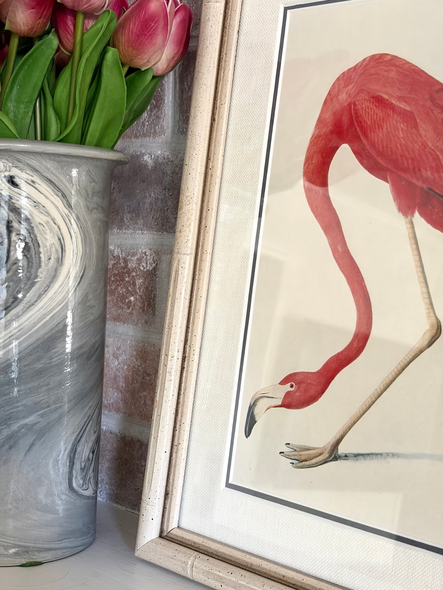 Vintage Framed Flamingo Audubon Bookplate