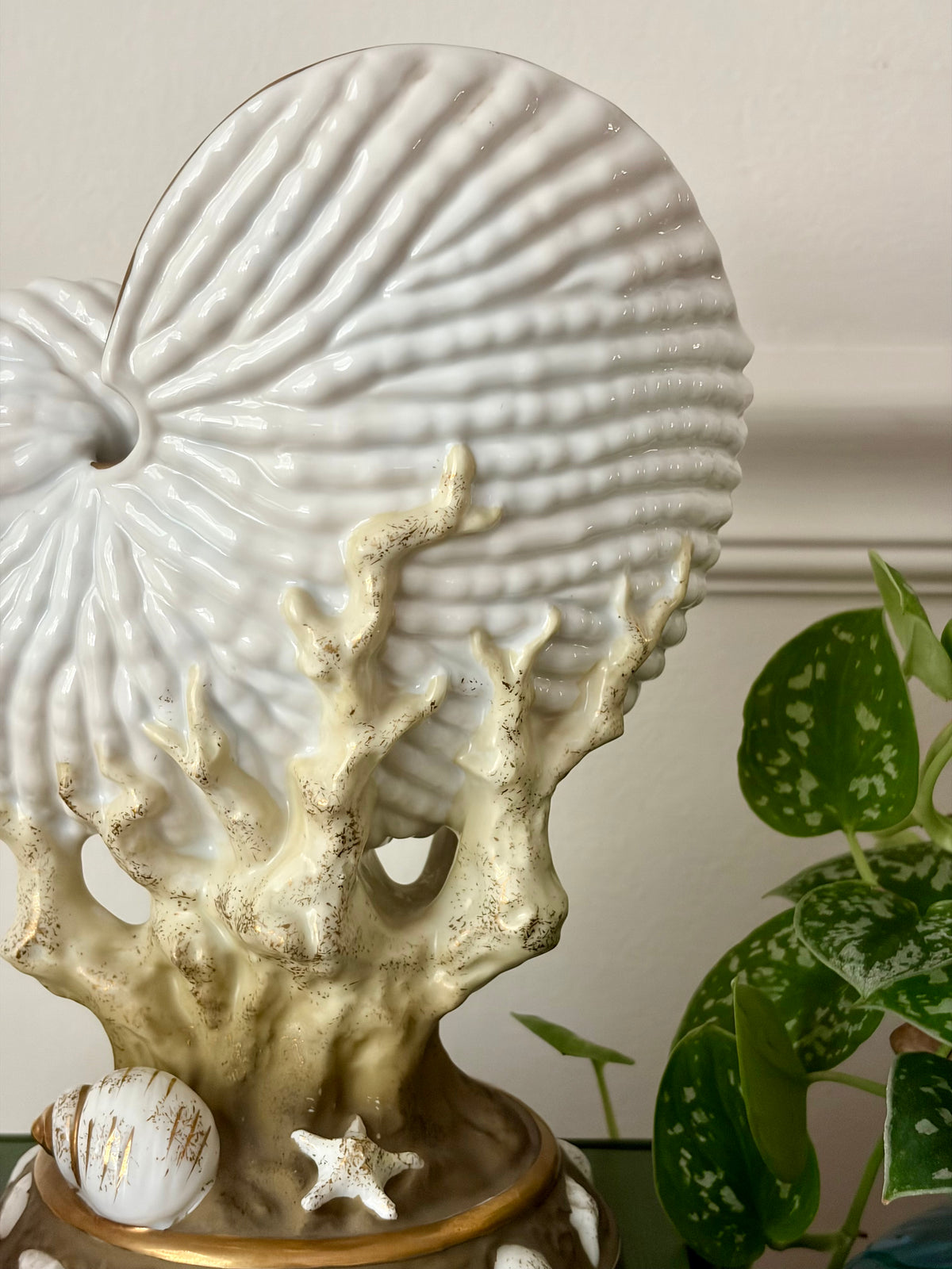 Vintage Nautilus Shell Vessel