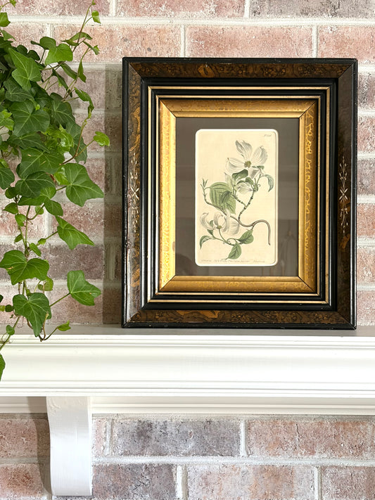 Antique Dogwood Engraving