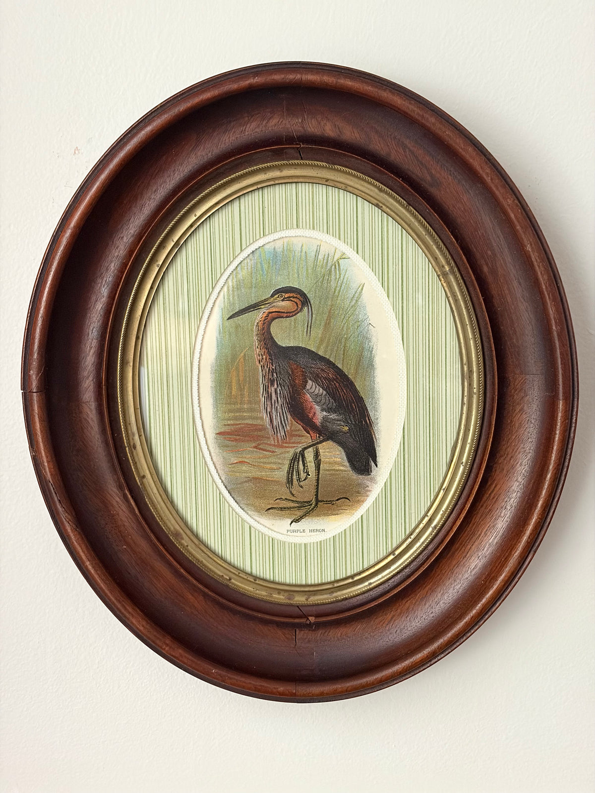 Antique Heron Print