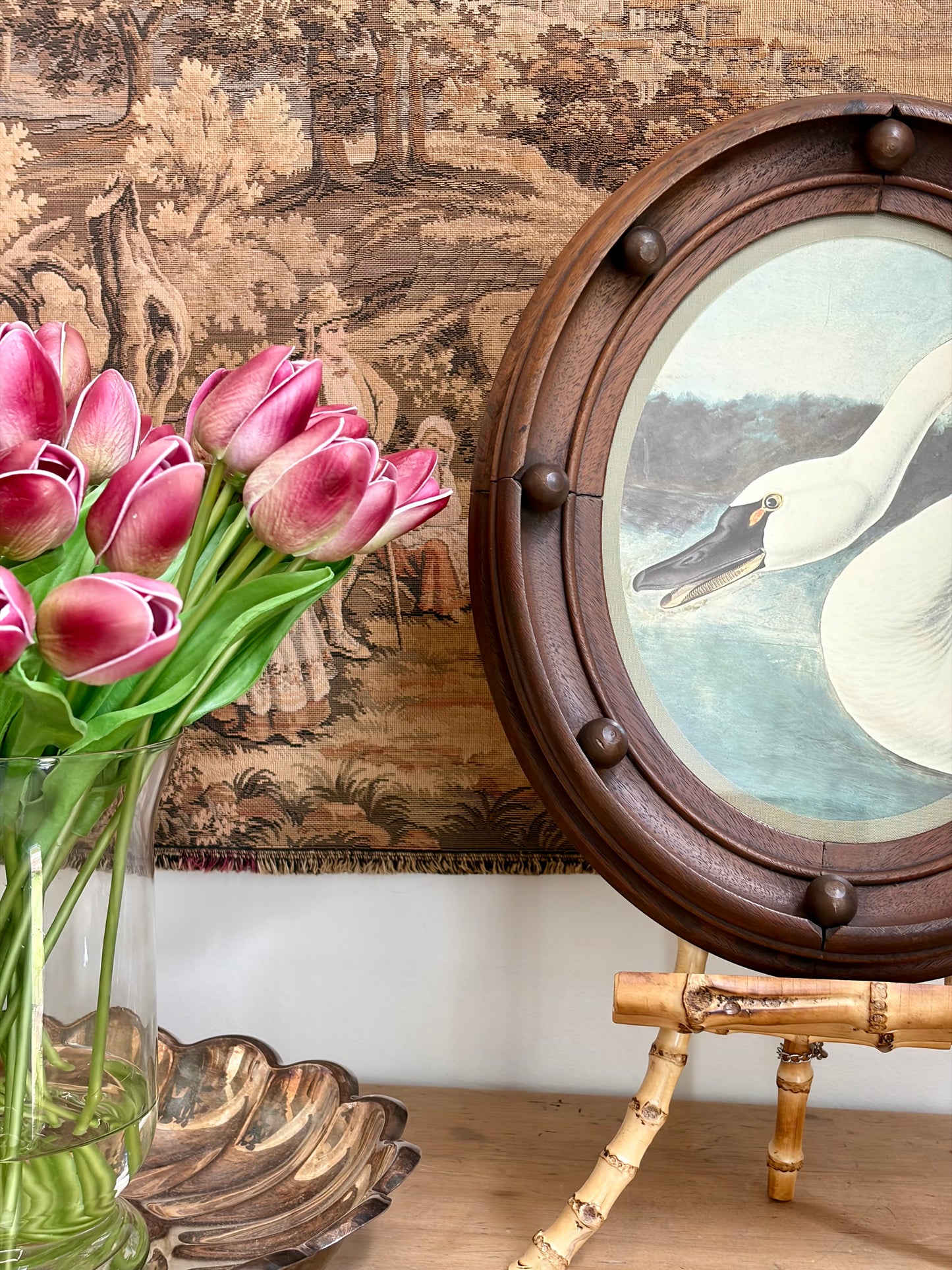 Trumpeter Swan Plate 7