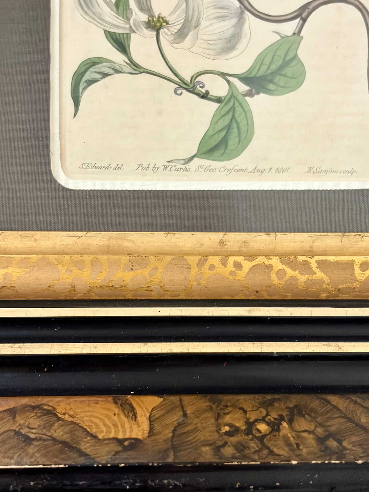 Antique Dogwood Engraving