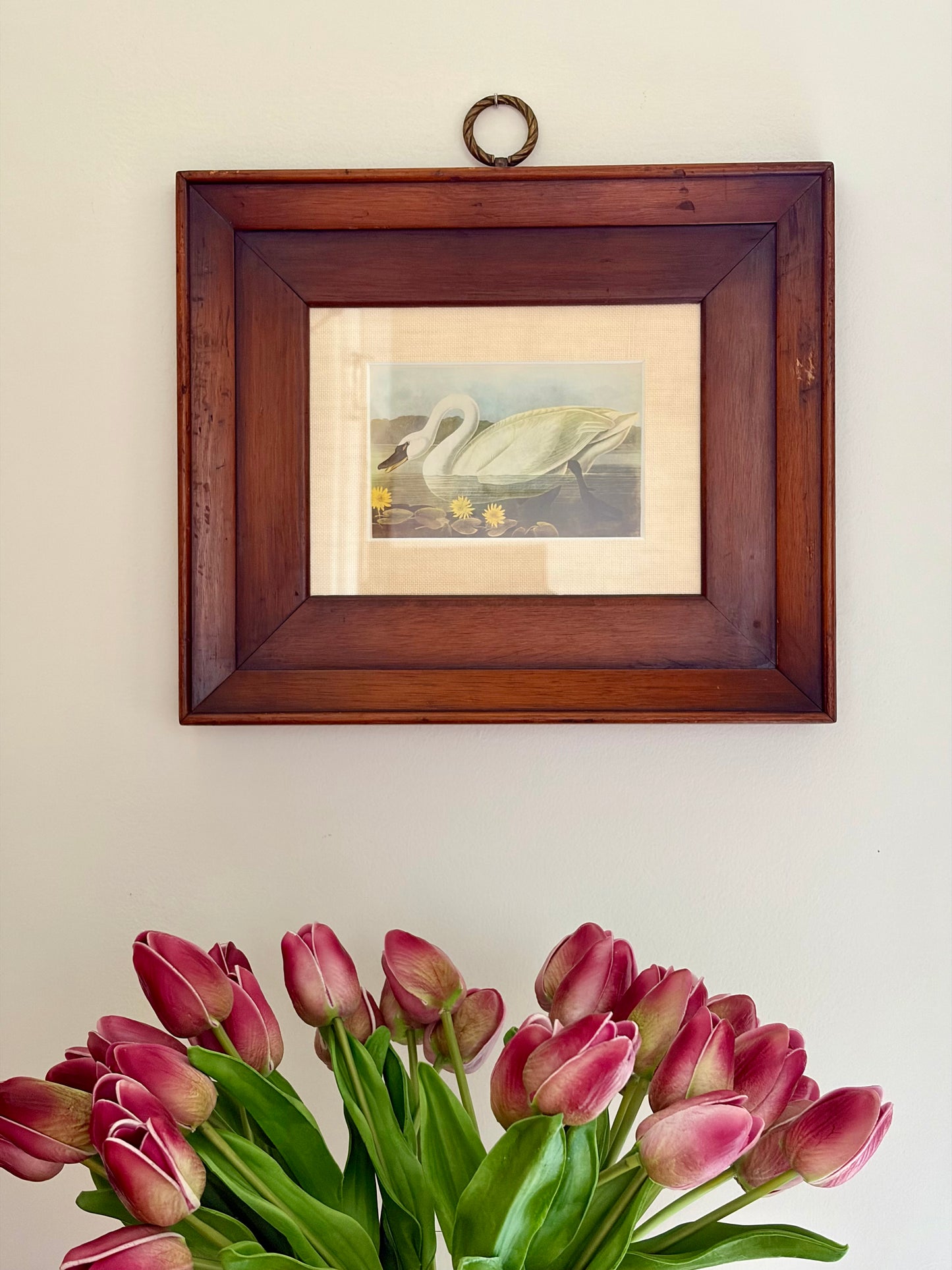 Whistling Swan Plate 35