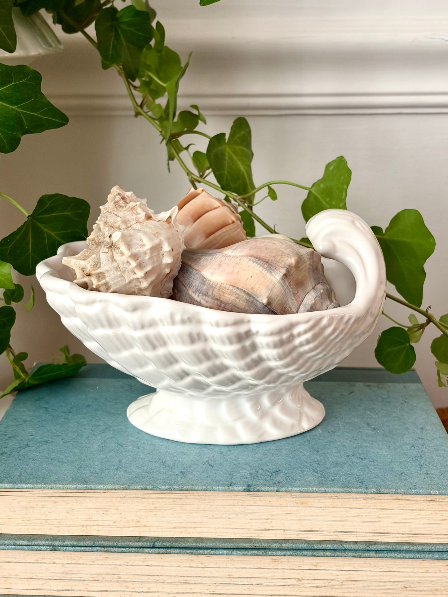 Vintage White Shell Compote