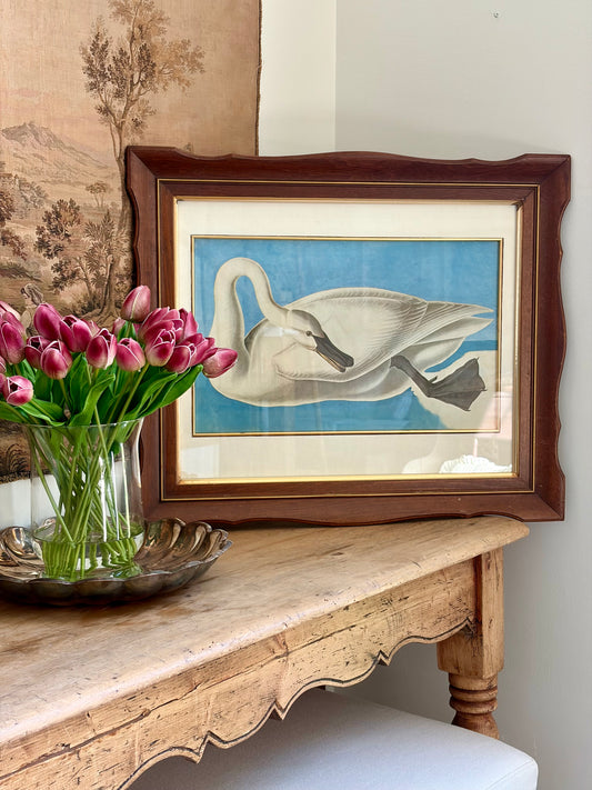 Whistling Swan Plate 258