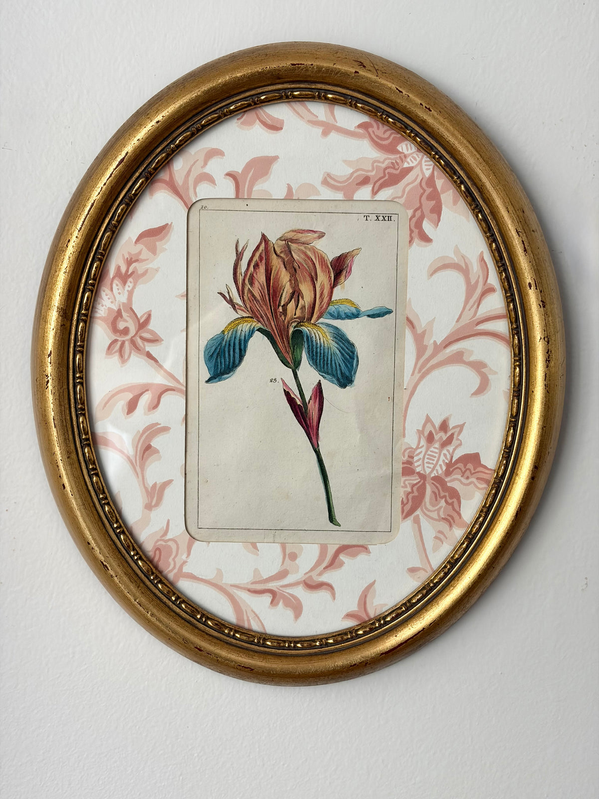 Antique Flower Print
