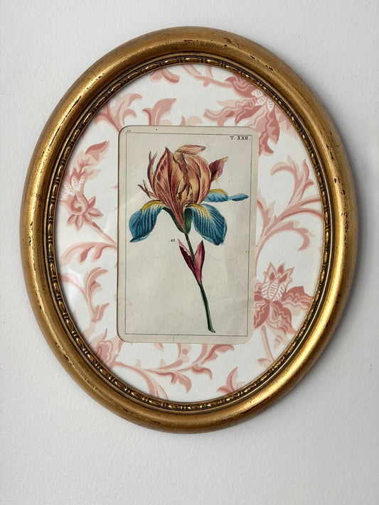Antique Flower Print