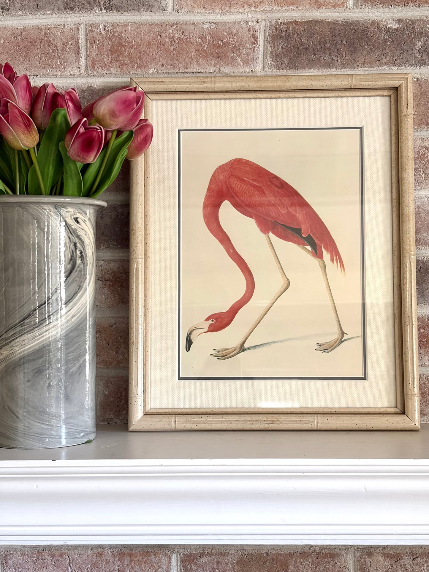 Vintage Framed Flamingo Audubon Bookplate