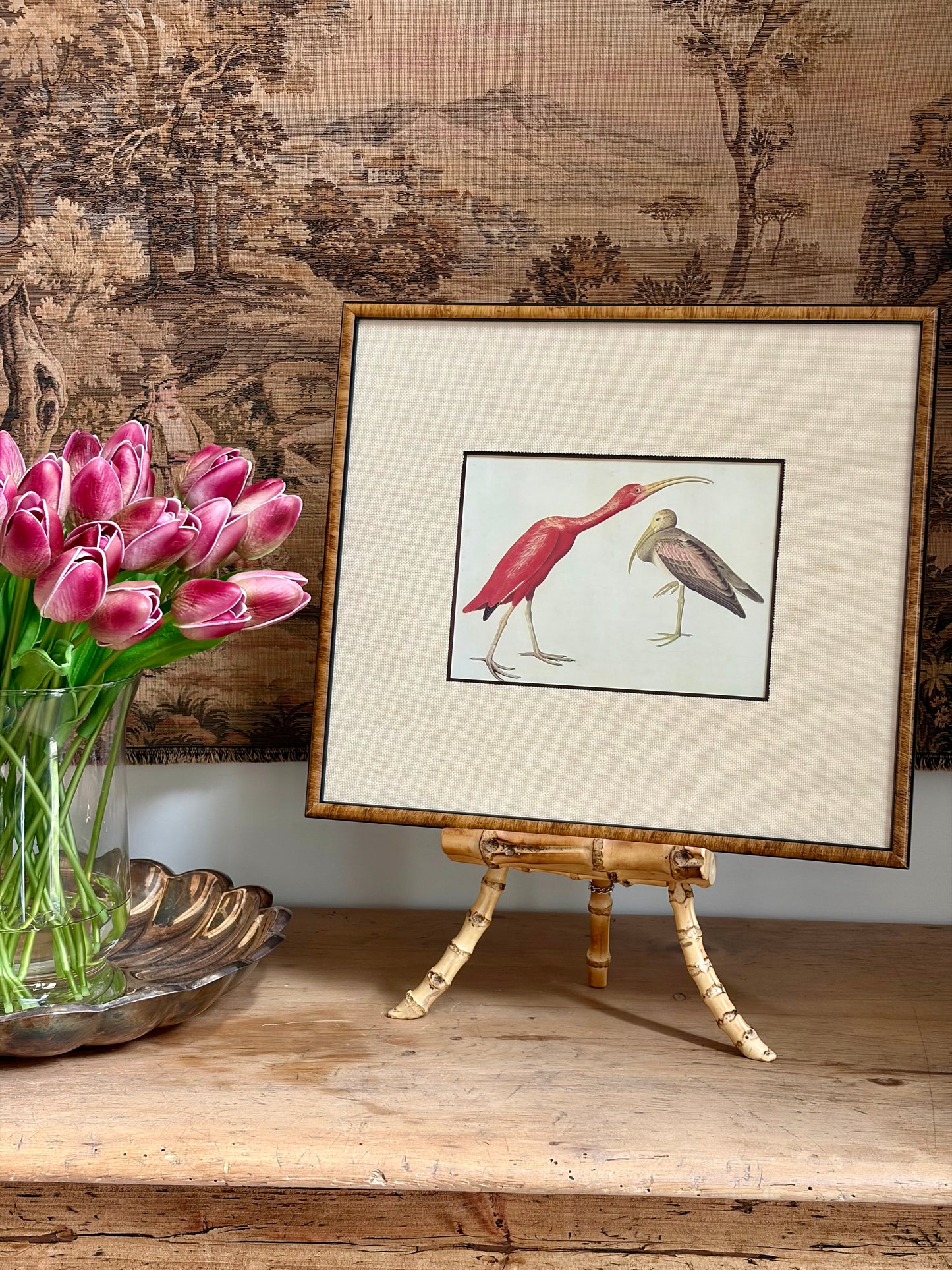 Scarlet Ibis Plate 179