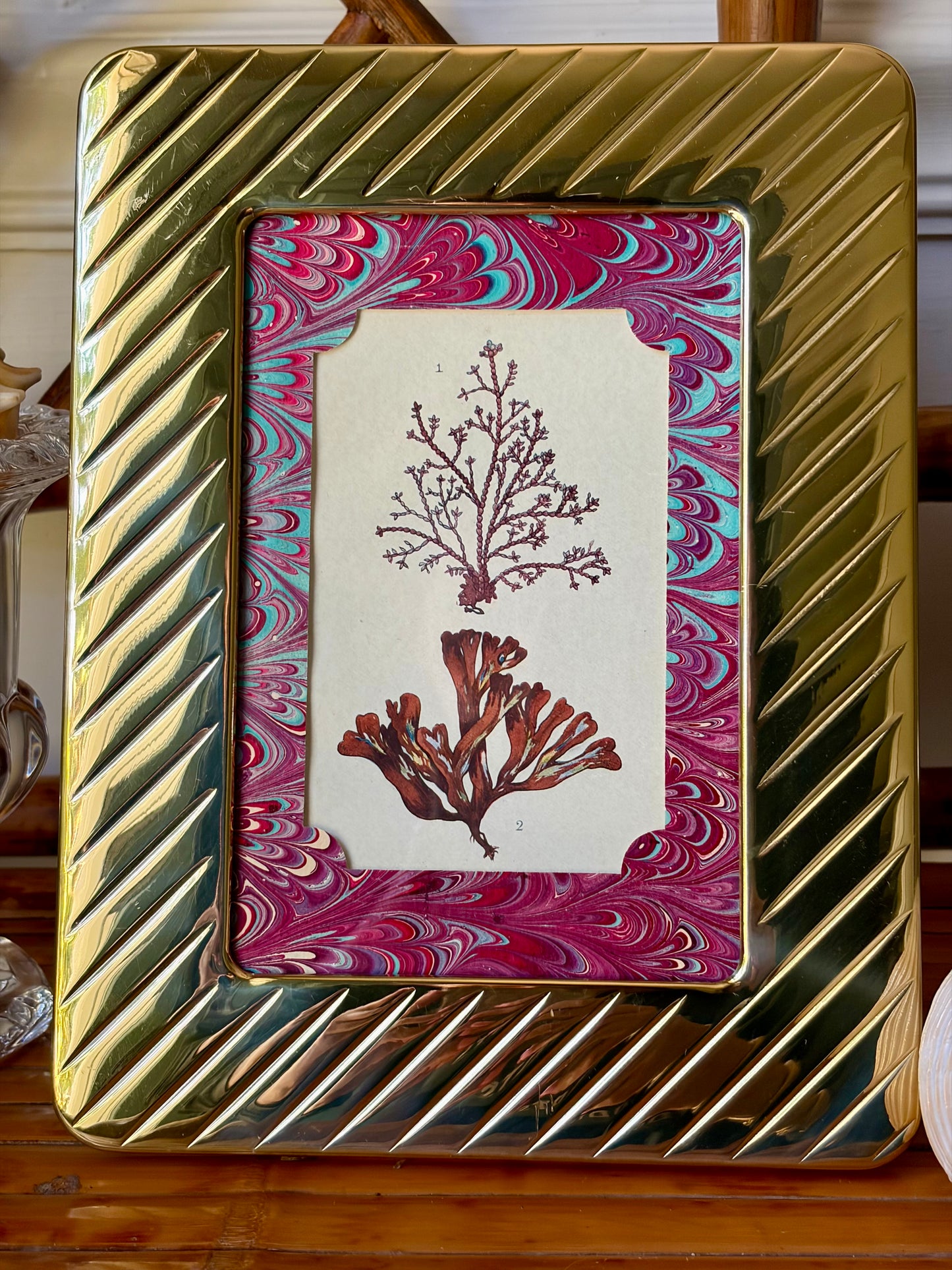 Framed Antique Coral Print