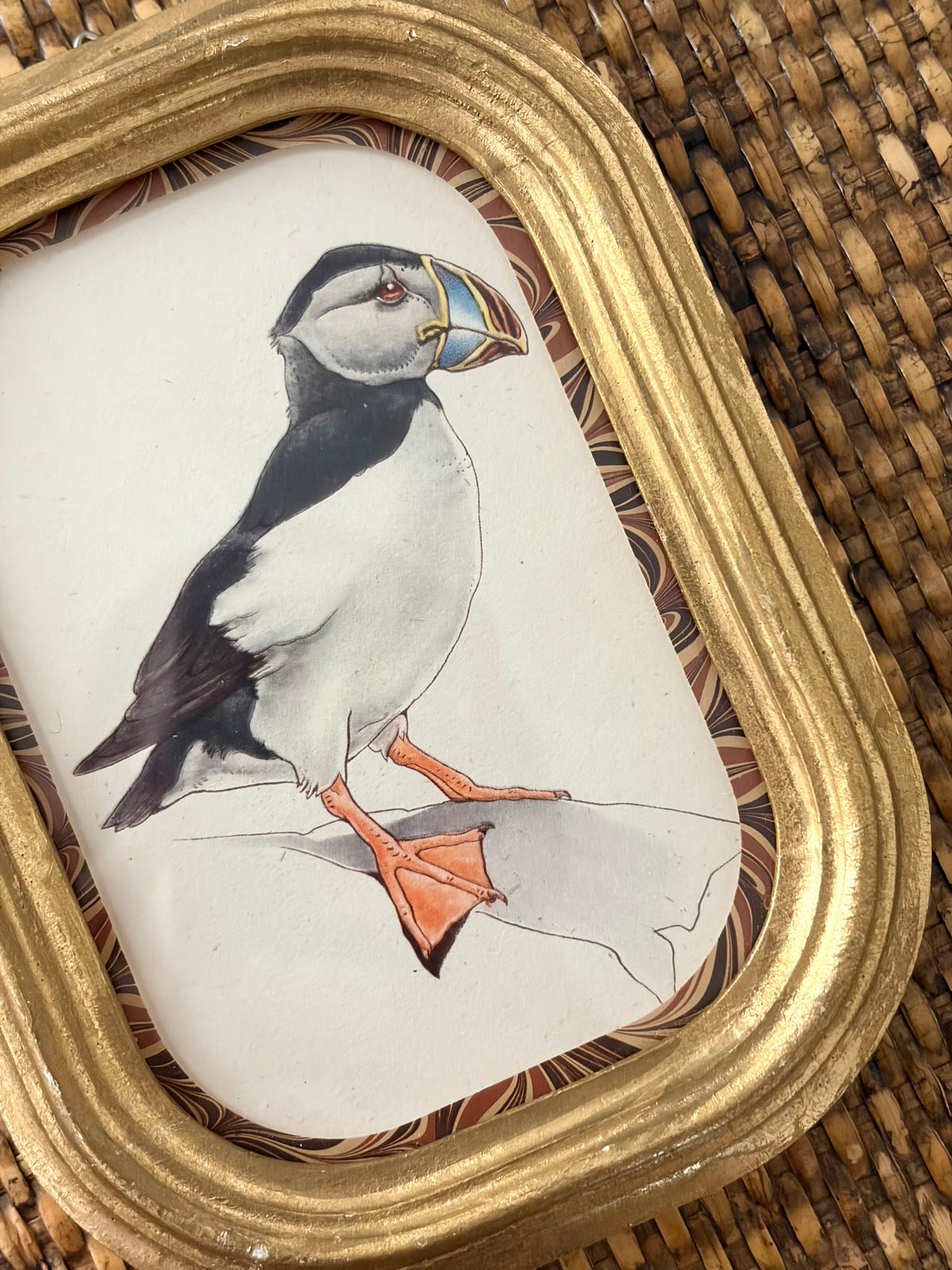 Vintage Puffin Print