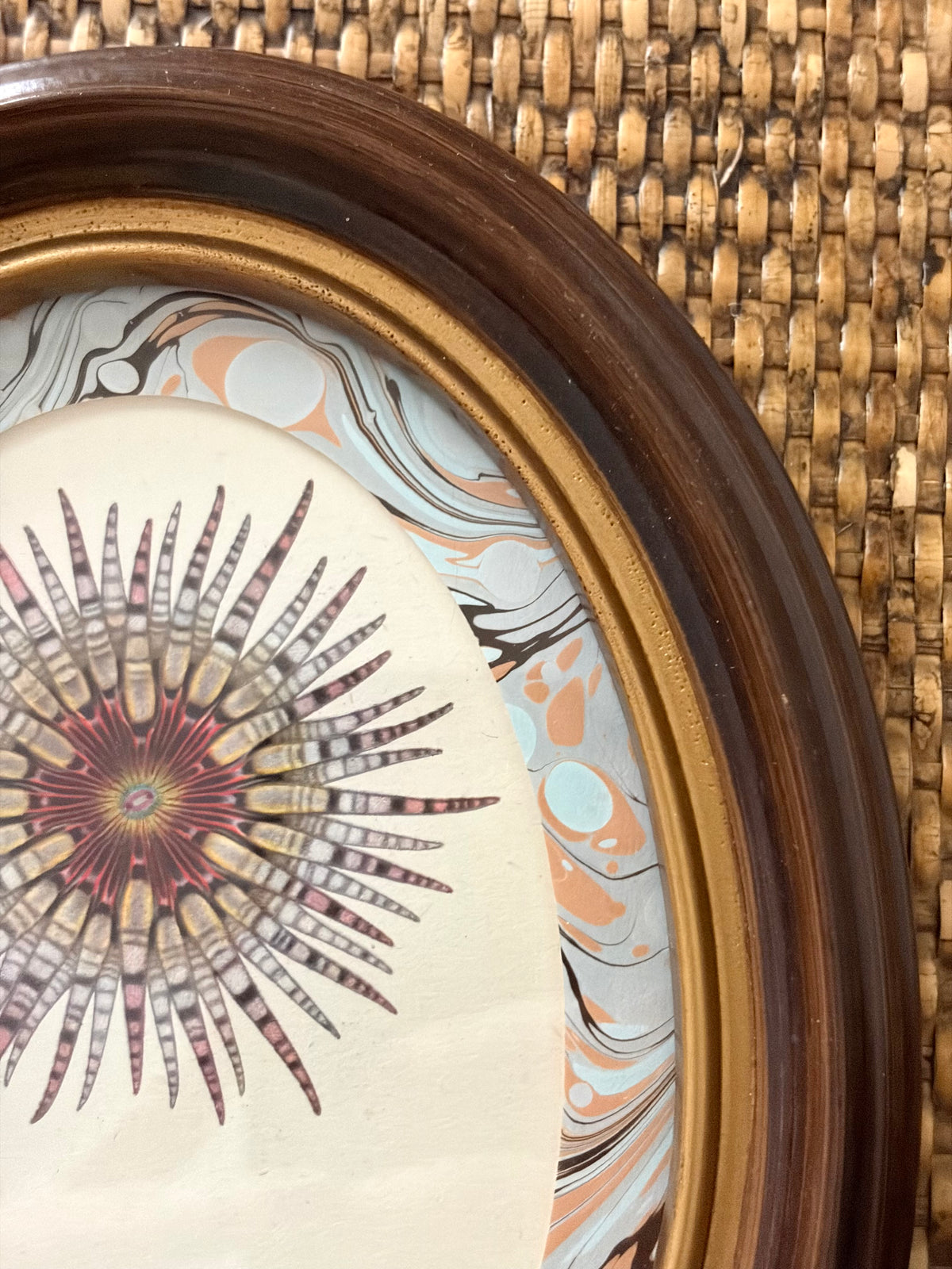 Pair of Vintage Anemone and Sea Urchin Prints