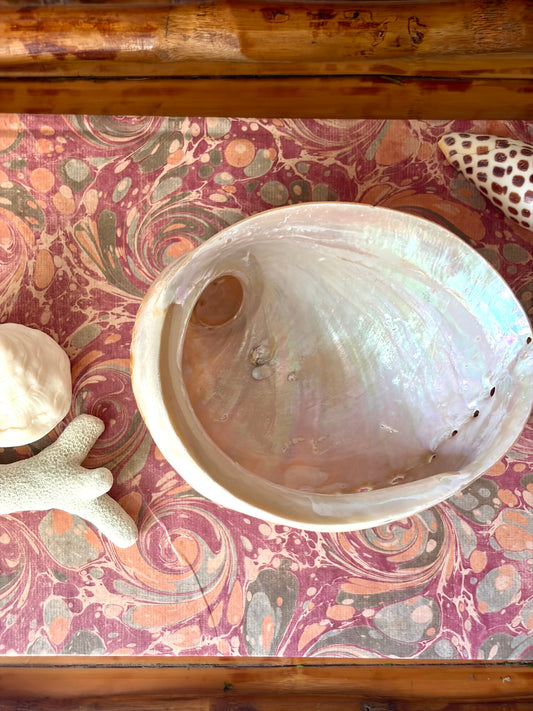 Polished Abalone Shell No.2