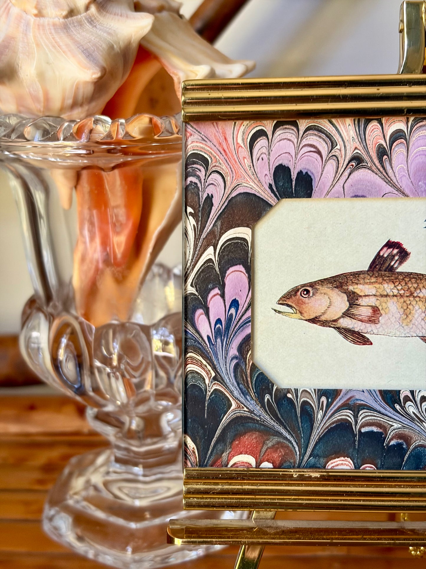 Framed Antique Fish Print
