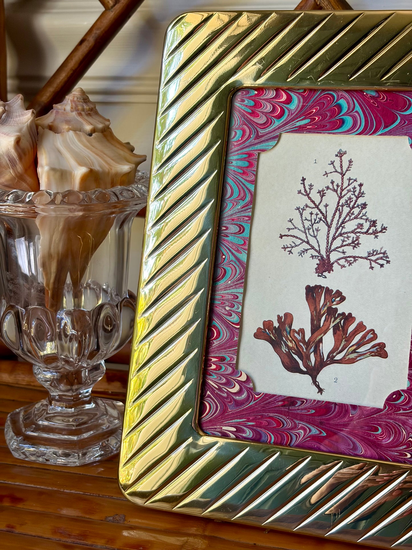 Framed Antique Coral Print