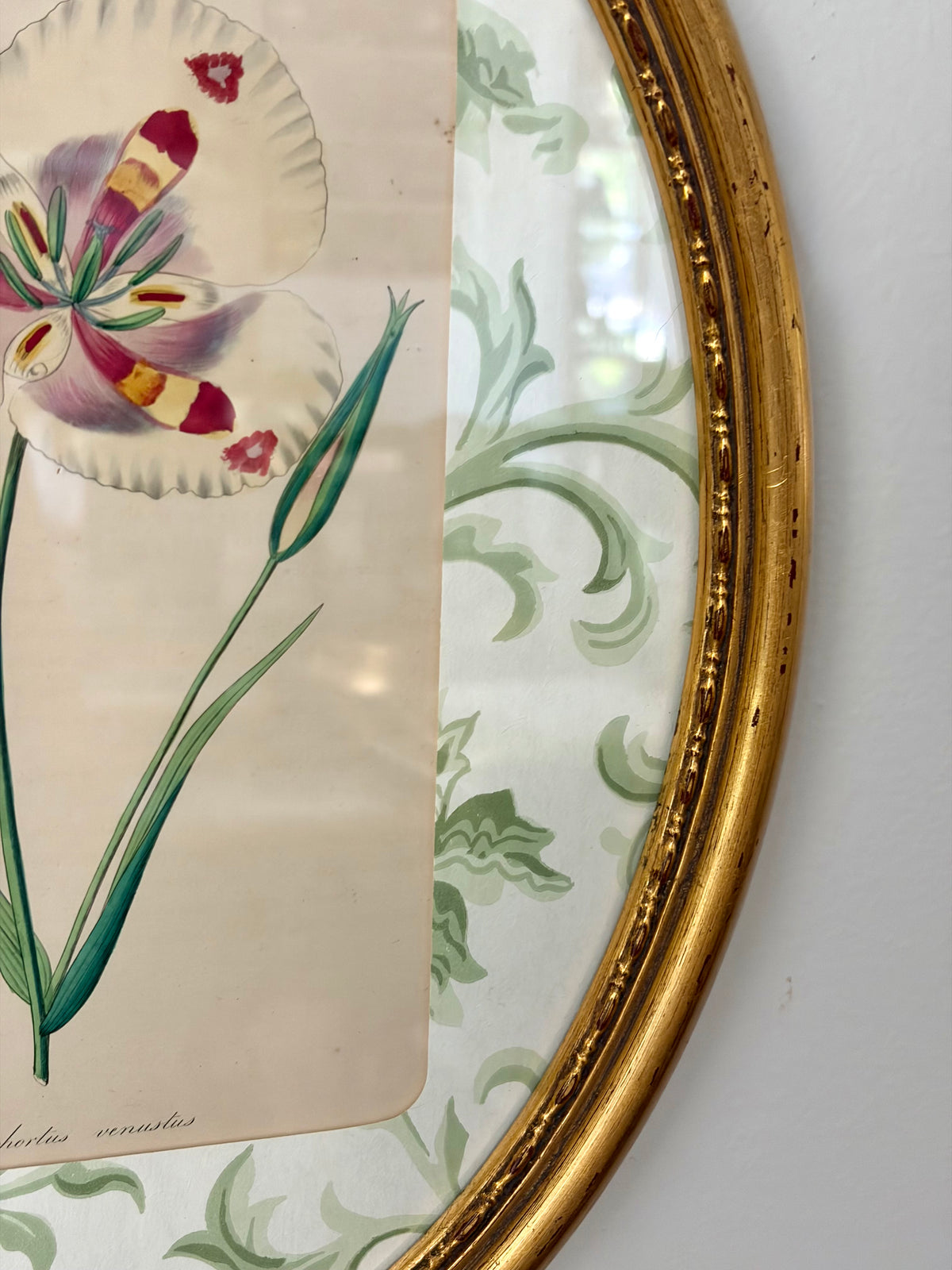Antique Flower Print