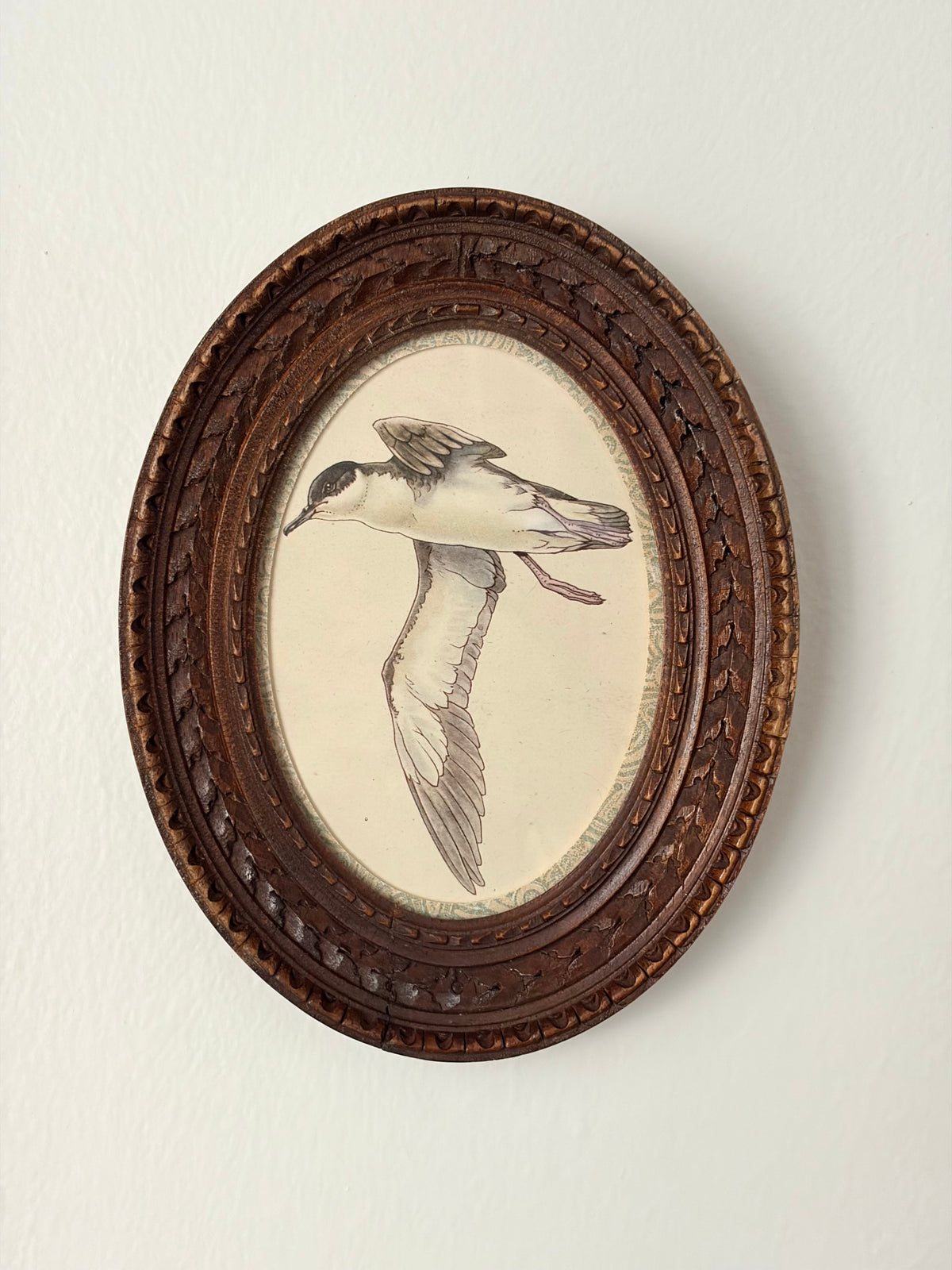 Vintage Bird Print