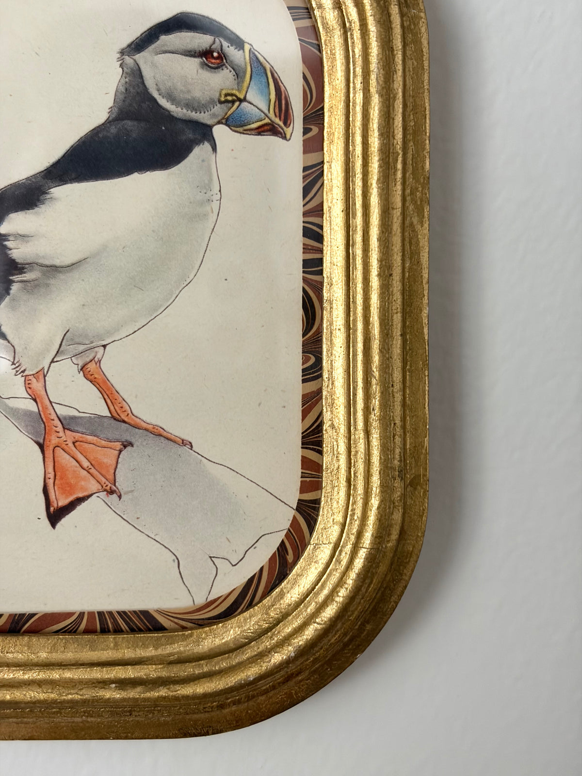 Vintage Puffin Print
