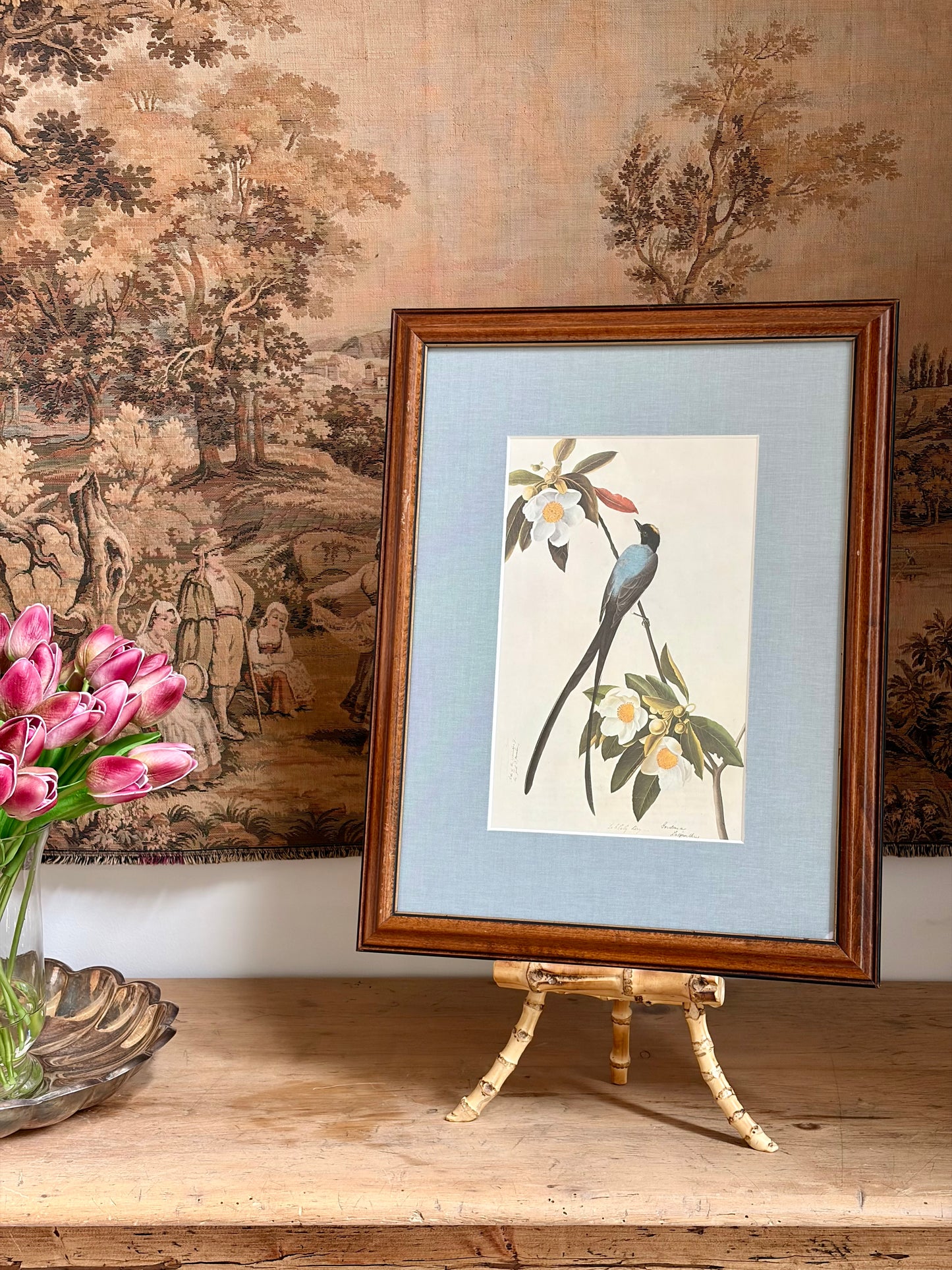 Fork-Tailed Flycatcher Plate 40