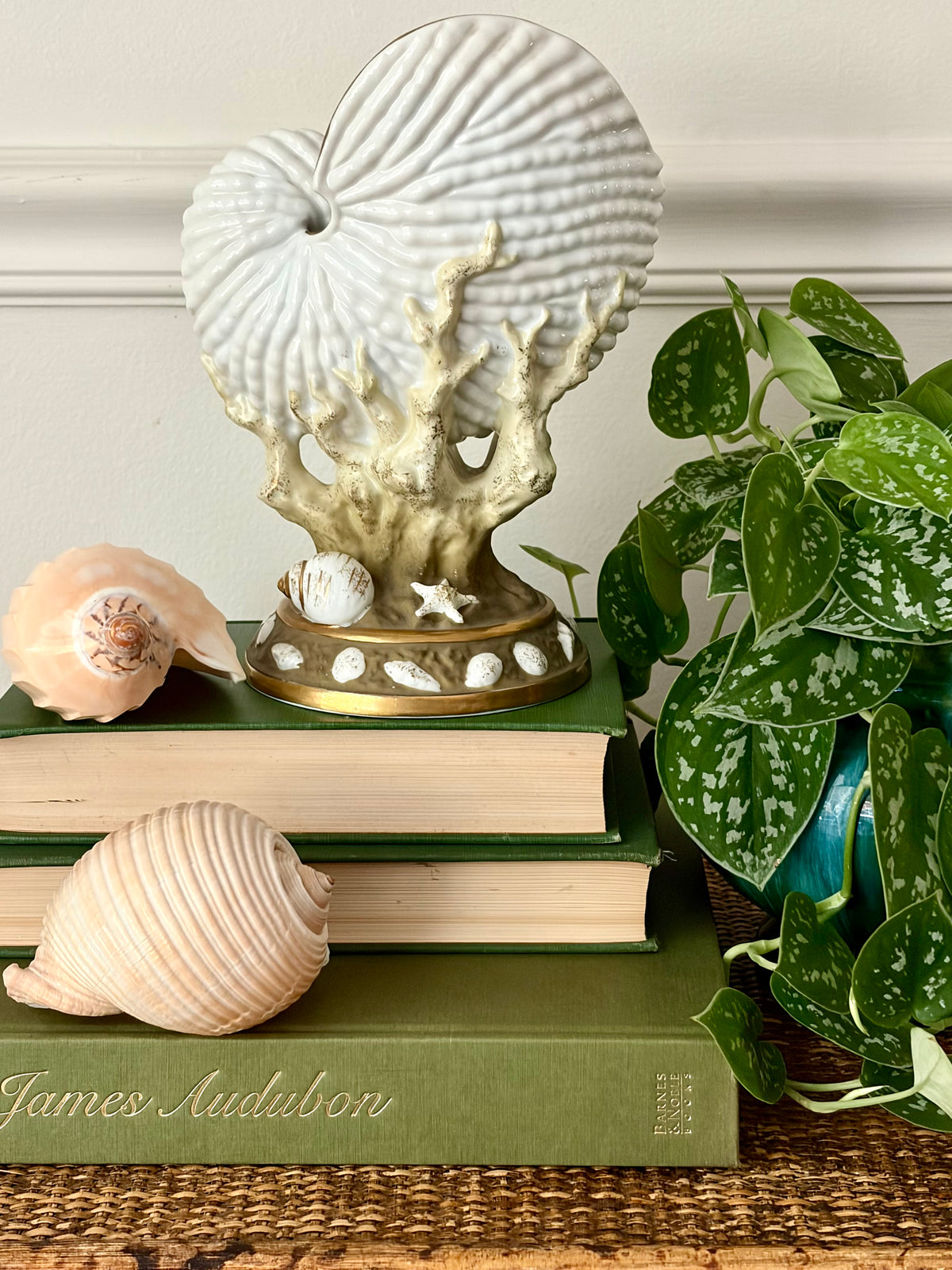 Vintage Nautilus Shell Vessel