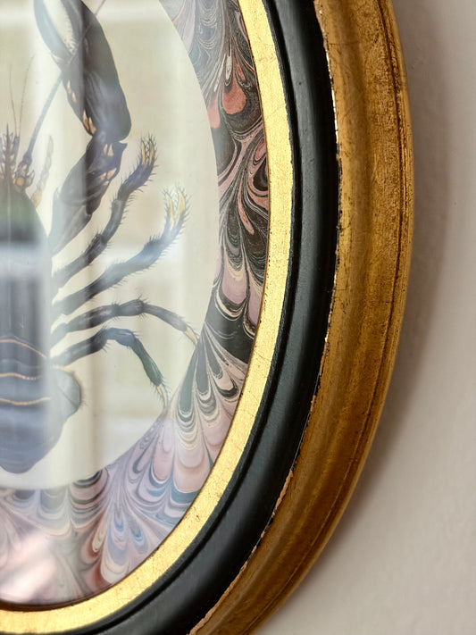Framed Antique Lobster Print