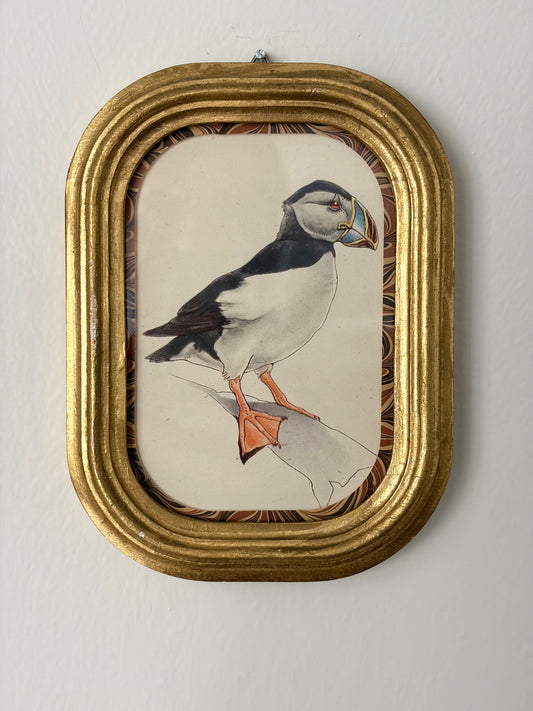 Vintage Puffin Print