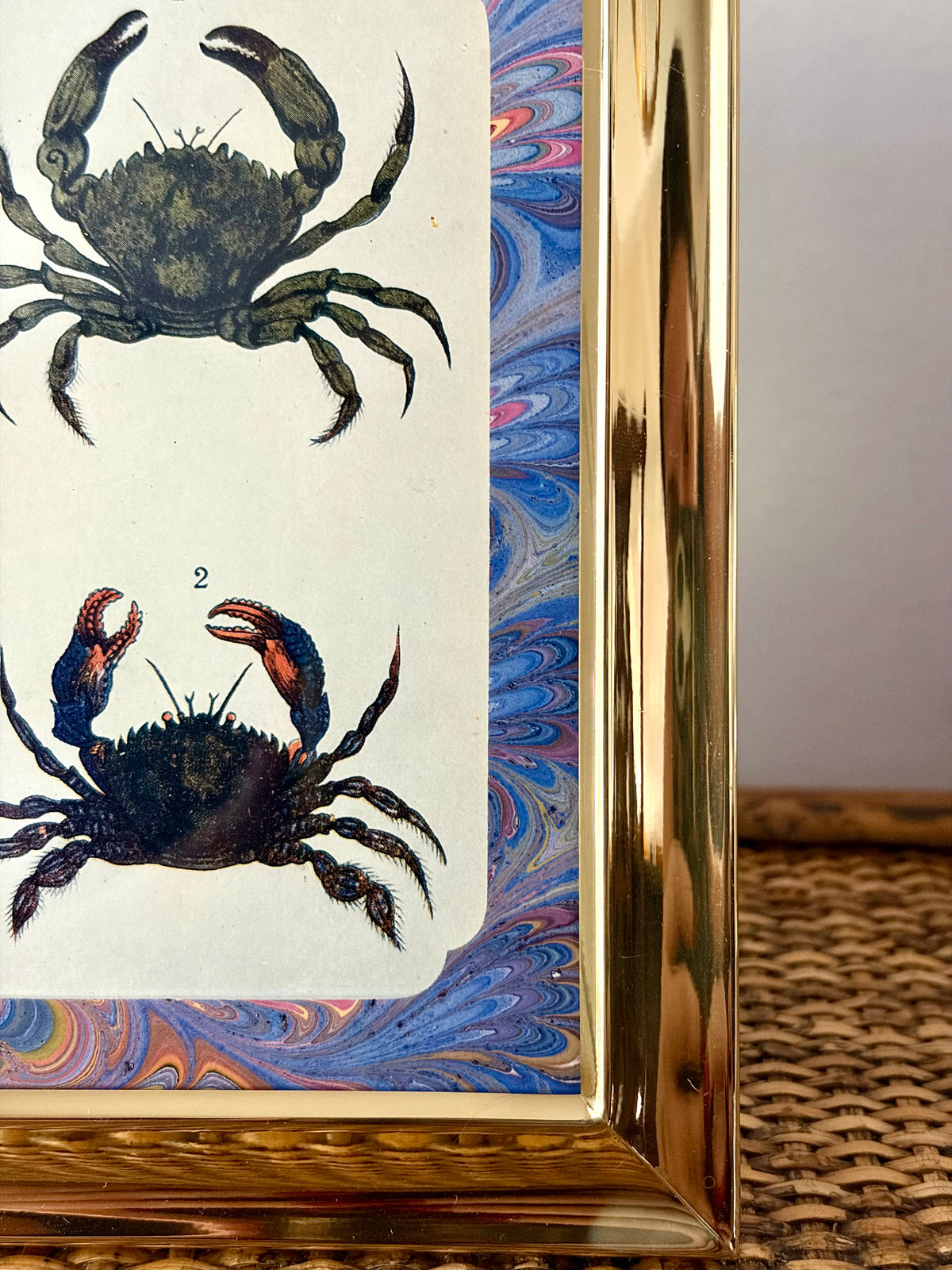 Antique Crab Print
