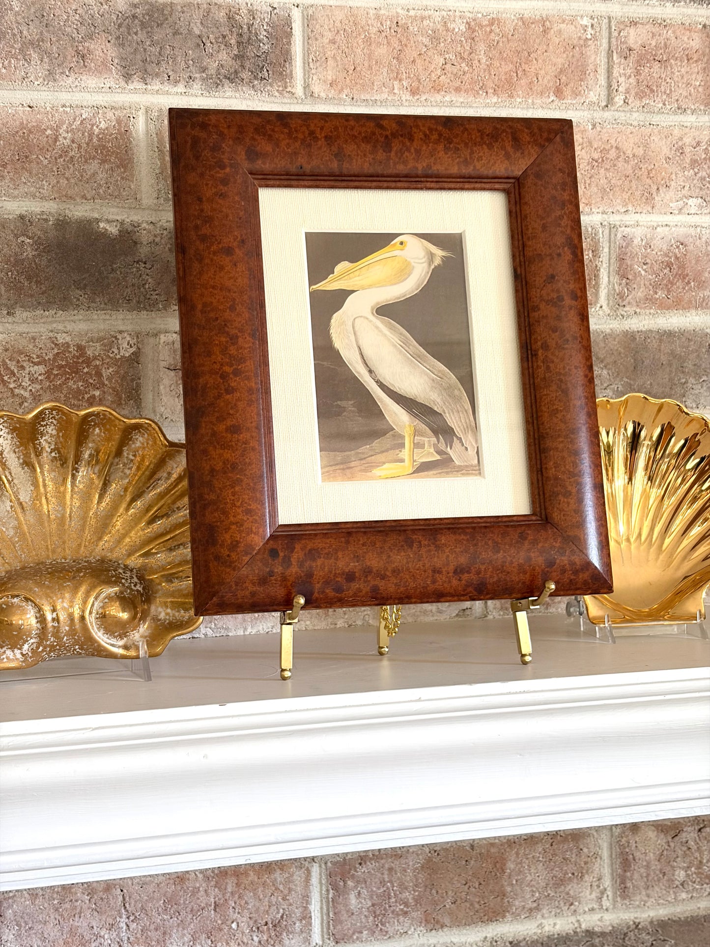 Vintage Framed White Pelican Audubon Bookplate