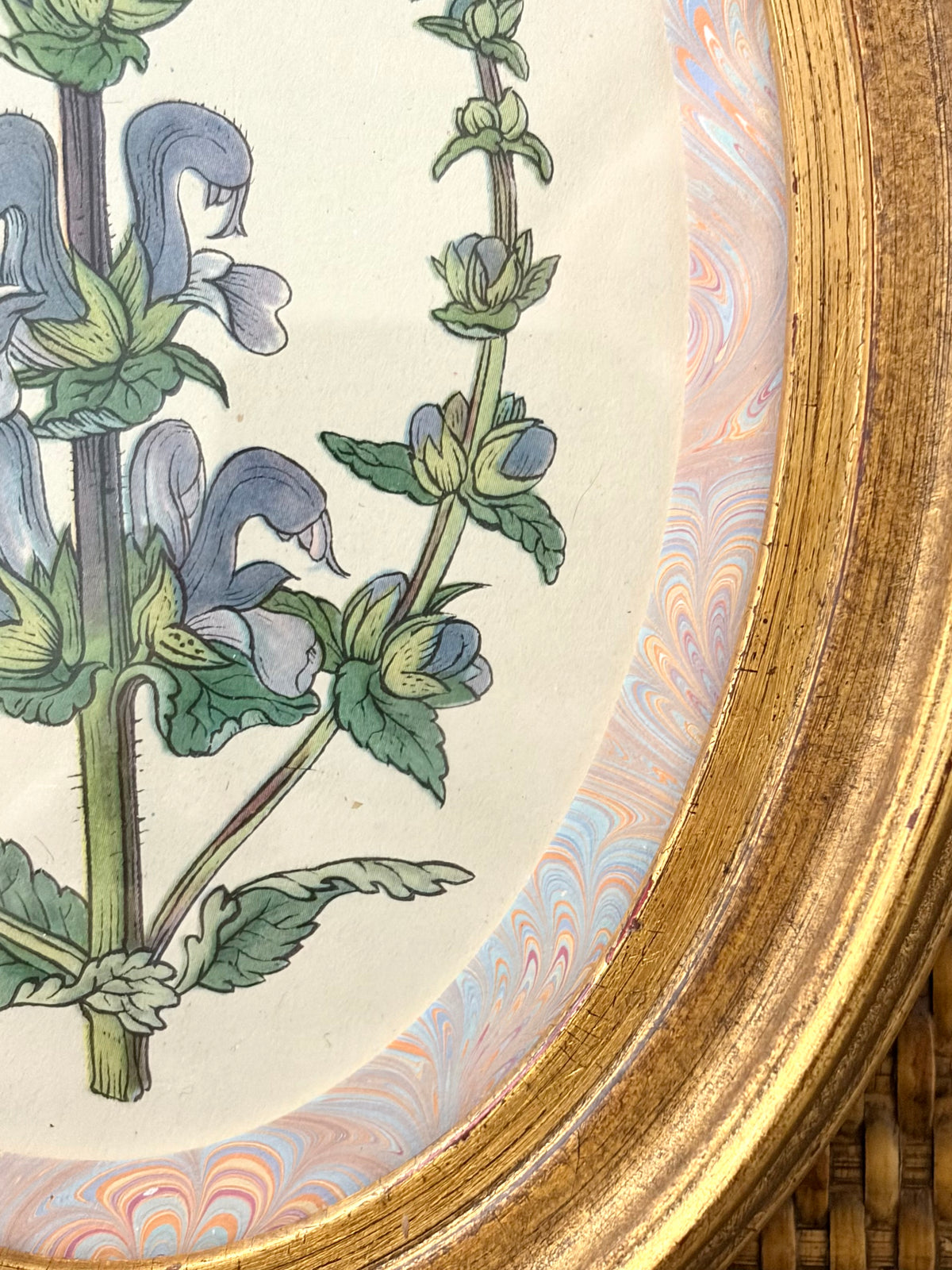 Vintage Flower Print