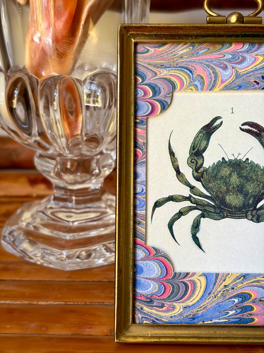 Framed Antique Crab Print
