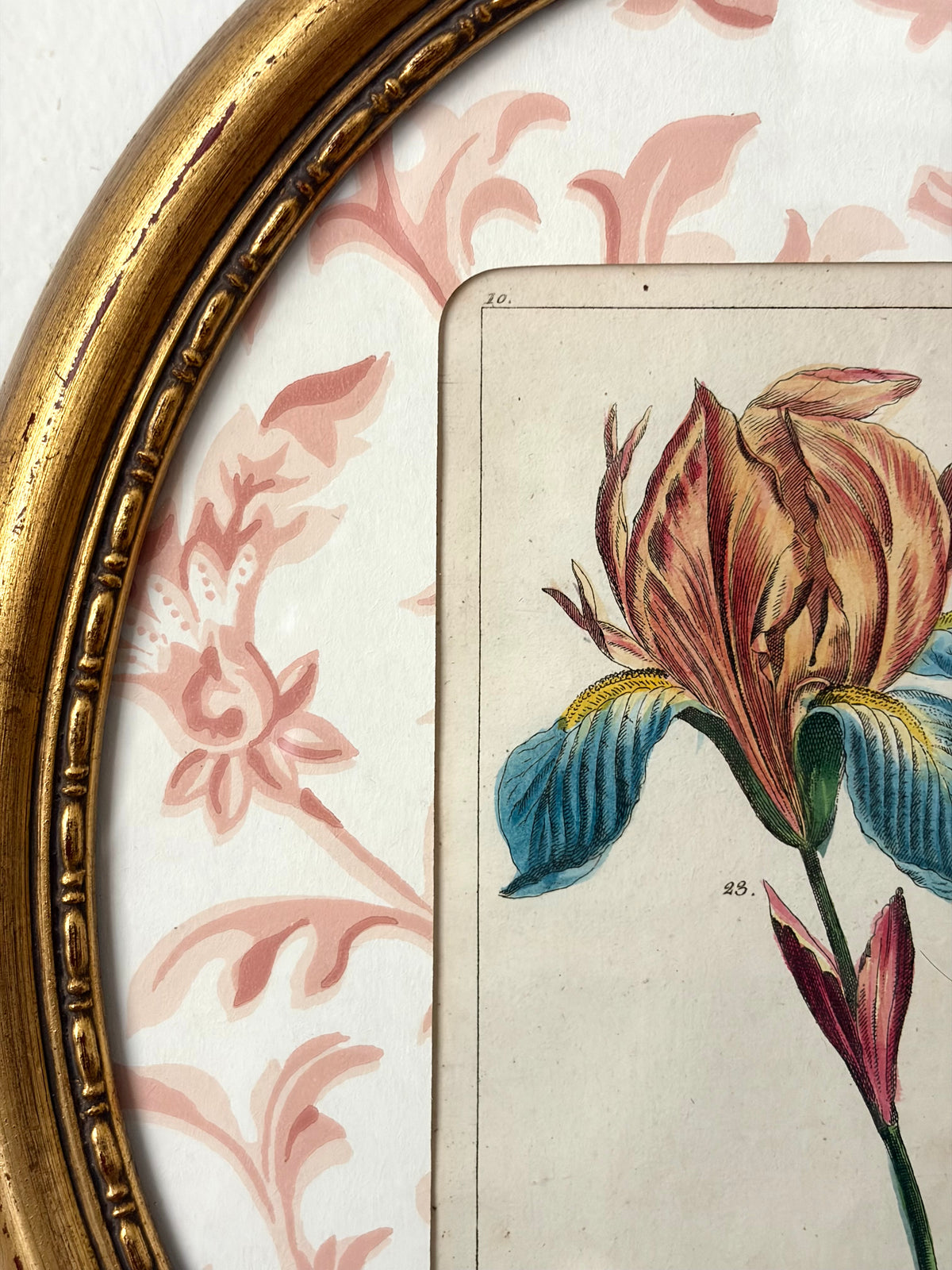 Antique Flower Print