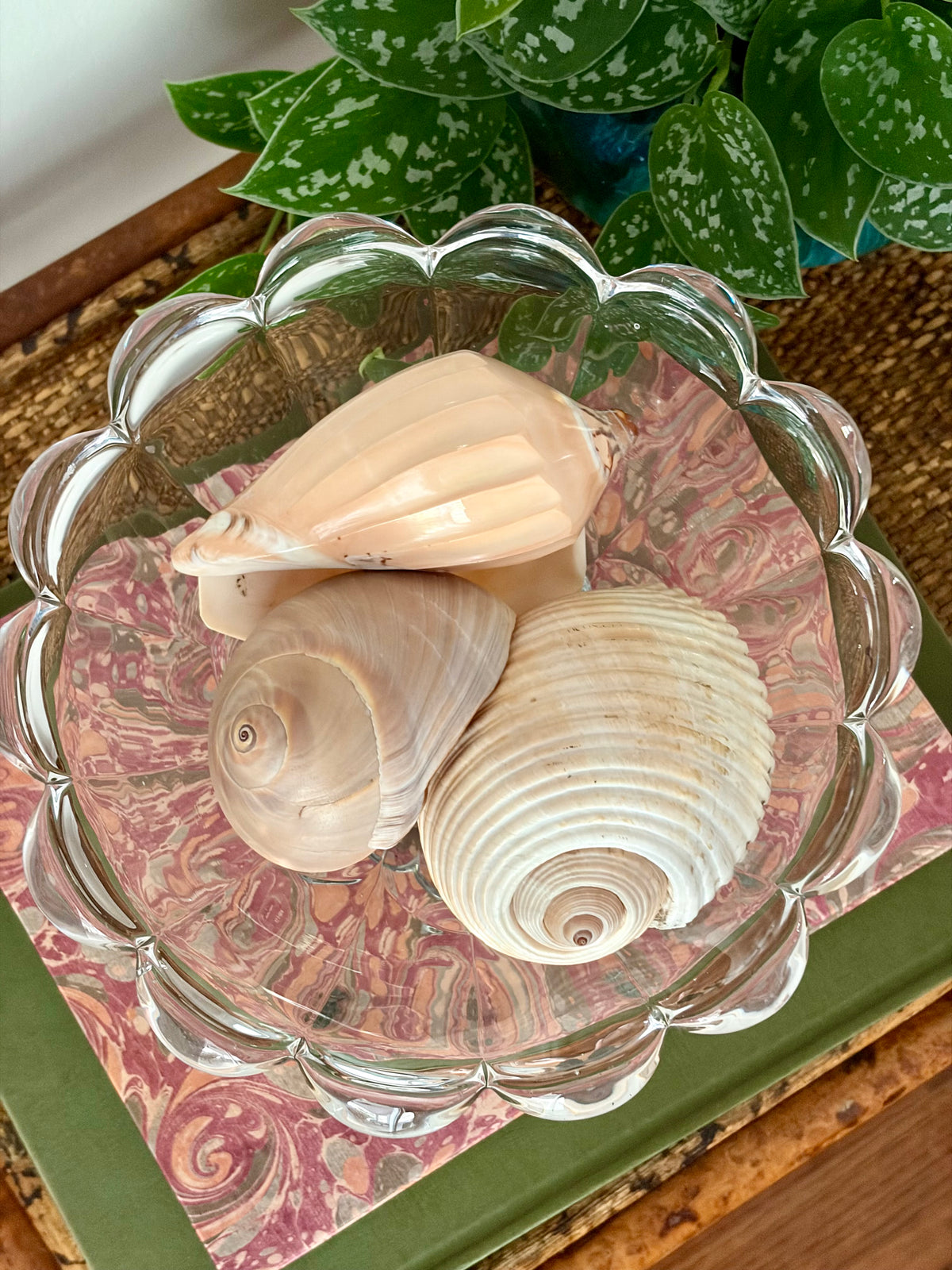 Vintage Crystal Scalloped Pedestal Bowl